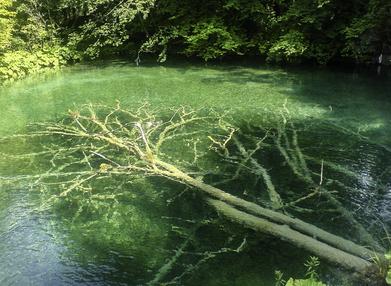national, lake, scenics - nature, Plitvice Lakes National Park, stream, land, park, waterfront, nature, tree, growth, day, green Color, summer, 720P, plant