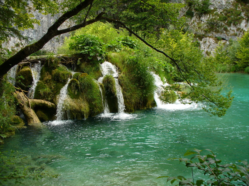 water, plant, green Color, stream, land, scenics, nature, no People, outdoors, travel Destinations, famous Place, woodland, purity, vacations, tranquil Scene