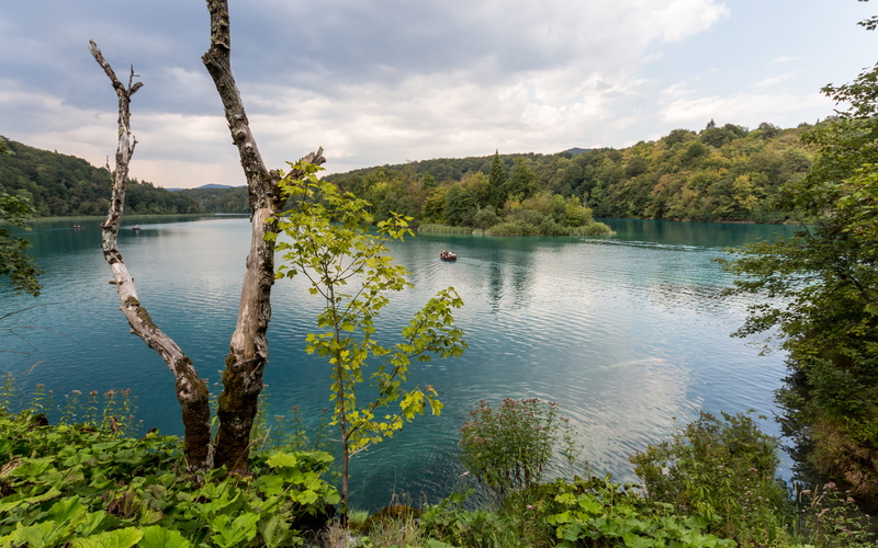 water, true colors, plitvice, green color, plant, tree, idyllic, blue, nature photography, plitvice lakes, travel, plitvice jezera, growth, no people, sky