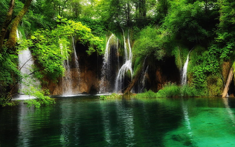 Waterfalls, Plitvice Lake National Park, 1080P, Forest, Green, Earth, Waterfall
