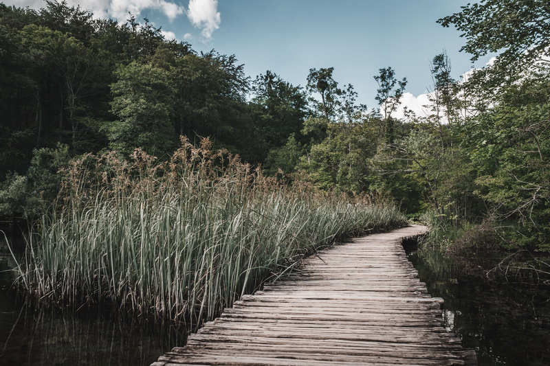 tranquil scene, outdoors, beauty in nature, scenics - nature, nature, wood, footpath, 5K, grass, tranquility, plitvice lakes national park, sky, tree