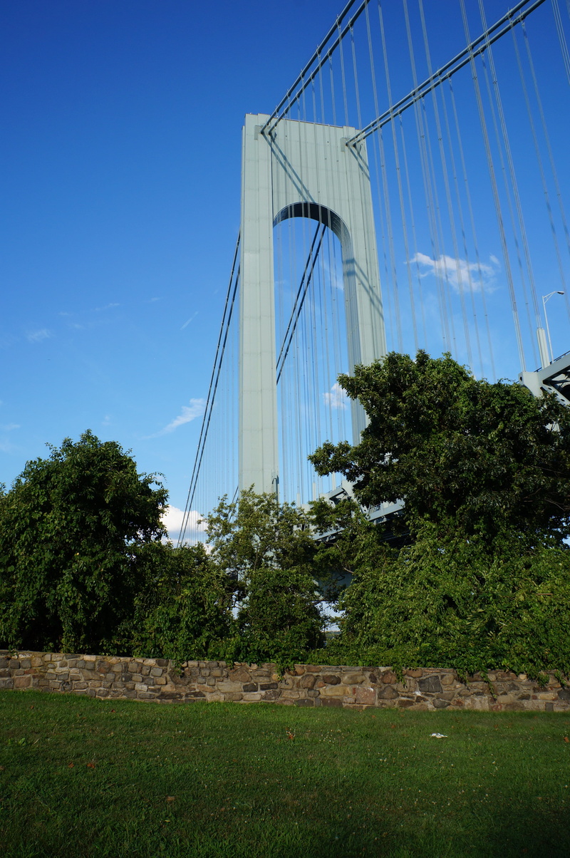 cross, scenic, famous, way, built structure, pillar, under the bridge, 4K, tree, urban, track, journey, bridge, concrete, transportation, column, expanse