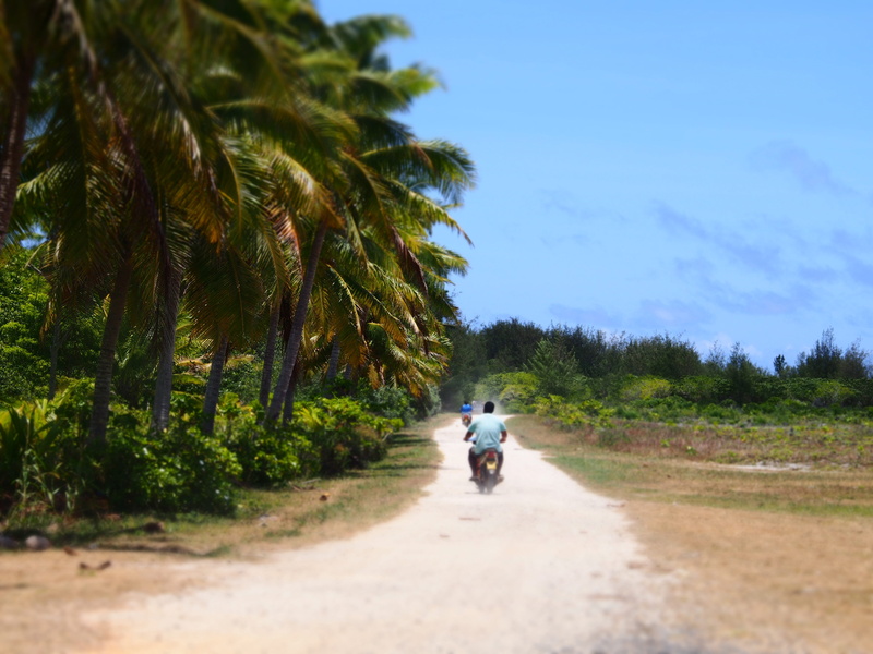 sky, aitutaki, plant, tropical, road, palm tree, two people, riding, direction, transportation, people, tropical climate, rear view, ride, cooks, real people