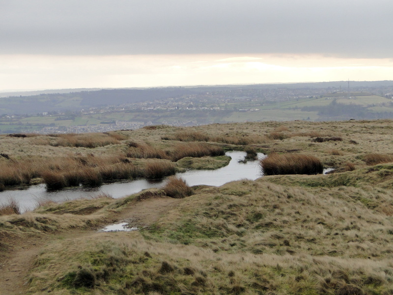 atmosphere, land, grasses, plant, cloud - sky, scenics, tranquility, animal, flowing water, river, hike, moor, tranquil scene, non-urban scene, no people