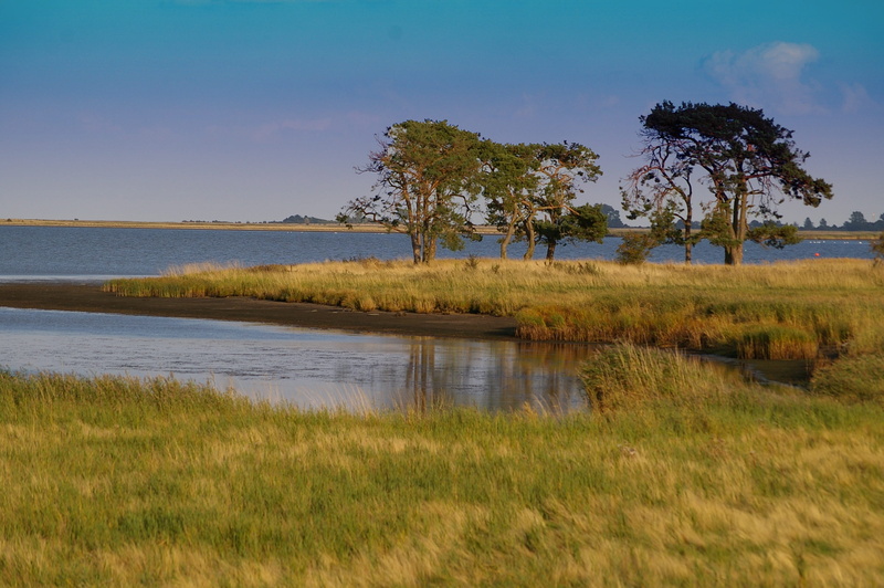 lake, billboard, grasses, tranquility, tree, protection, blue sky, nature, timothy grass, scenics - nature, note, germany, nature reserve, air, gristow