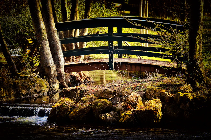 rock, romantic, day, plant, nature, built structure, no people, bridge - man made structure, bach, watercourse, architecture, scenic, connection, flowing water