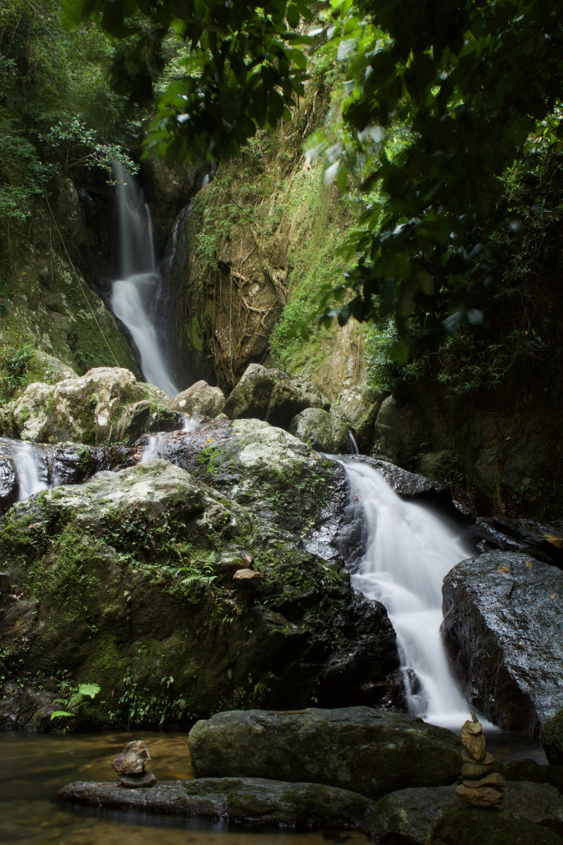 blurred motion, 5K, forest, clear, land, water feature, power in nature, national park, river, watercourse, running waters, falling water, waters, pond
