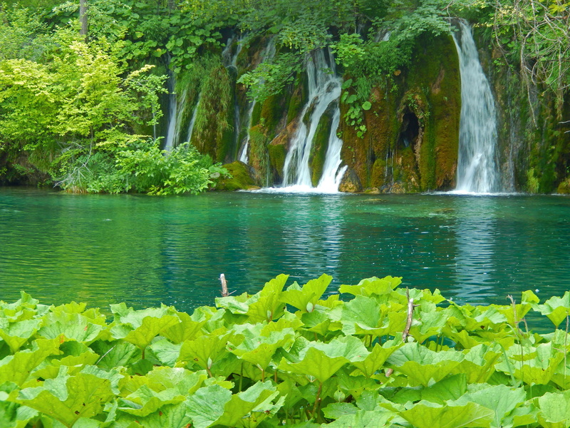 landscape, tranquility, around, no people, plitvice, clean, growth, plants, plant part, plitwitz, green, tree, flowing water, waterfall, green color, idyllic