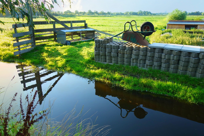 landscape, lake, netherlands, water, green color, waterfront, reflection, plant, fence, built structure, rural, watercourse, park, country, dutch landscape