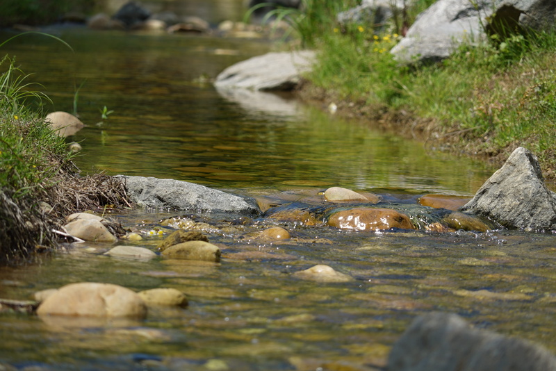 nature, tranquility, outdoor, no people, 4K, animal wildlife, selective focus, rock - object, stream - flowing water, water, beauty in nature, animal themes