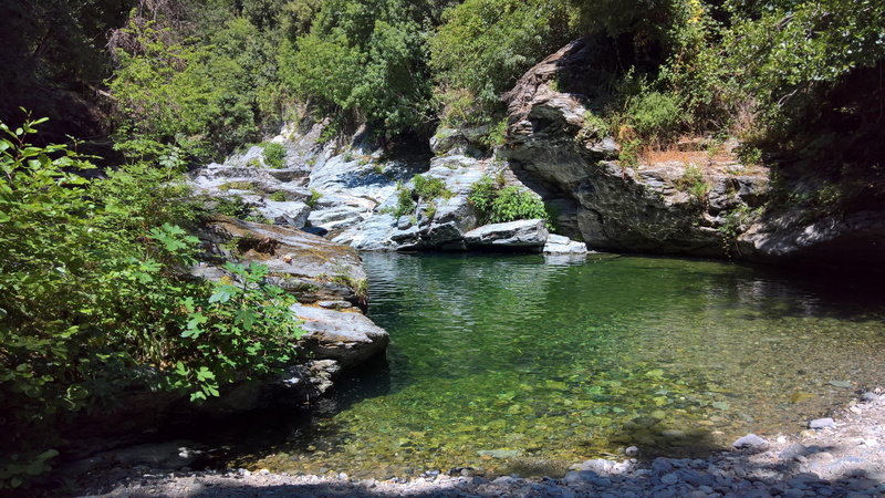 rock - object, outdoors, day, stream - flowing water, green color, no people, land, flowing water, forest, watercourse, 4K, flowing, non-urban scene, river