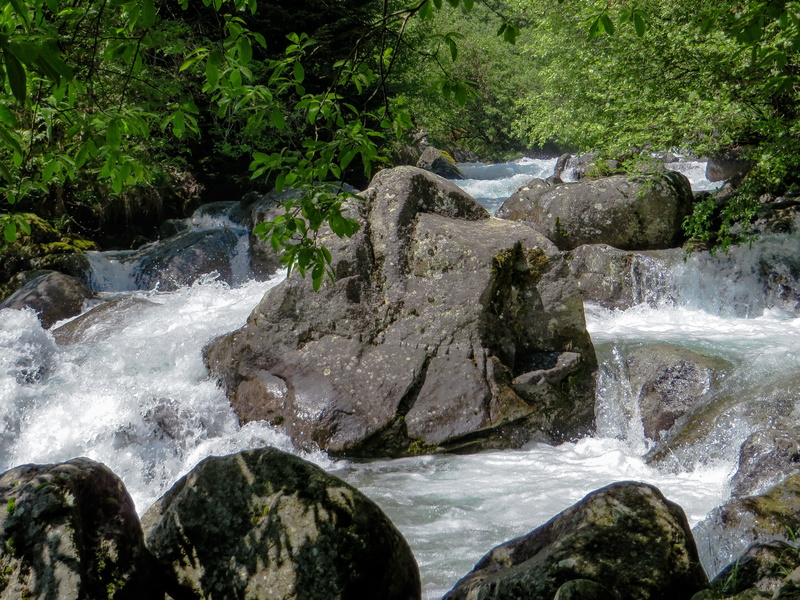 nature, splash, day, bubble, beauty in nature, bach, flowing, foaming, plant, waters, power in nature, landscape, outdoors, solid, mountain stream, rainforest