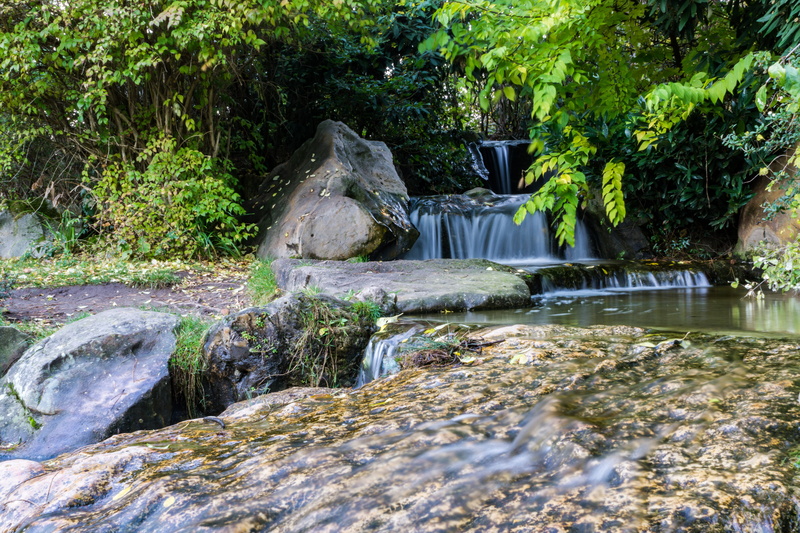 bright colours, forest, scenics - nature, power in nature, outdoors, motion, watercourse, north park, rainforest, plant, river, nature, flowing, solid