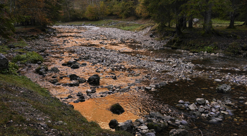 high angle view, saint-pierre-dentremont, beauty in nature, land, nature, stream - flowing water, solid, water, outdoors, landscape, day, flowing, growth