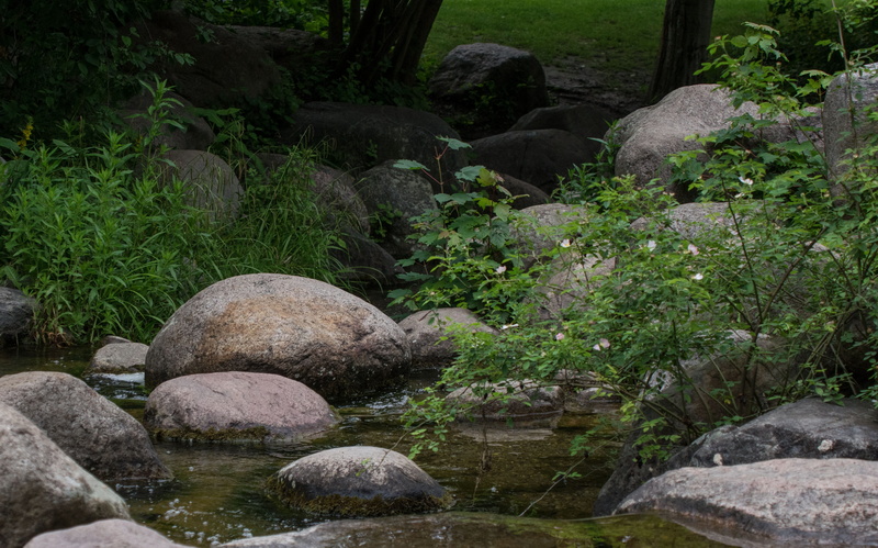 watercourse, rock - object, outdoors, day, no people, creek, flowing water, forest, tranquility, 4K, stones, bach, stream - flowing water, solid, green color