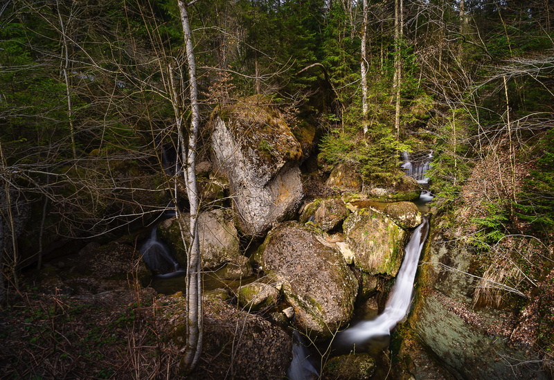  background, tree, peaceful atmosphere, watercourse, river, beauty in nature, 5K, nature, rock, wood, landscape, waterfall, flow, shadow, long exposure