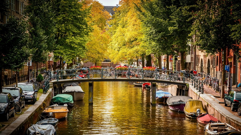 city, tree, waterfront, 1080P, europe, netherlands, nautical vessel, incidental people, canal, built structure, moored, town, transportation, waterway