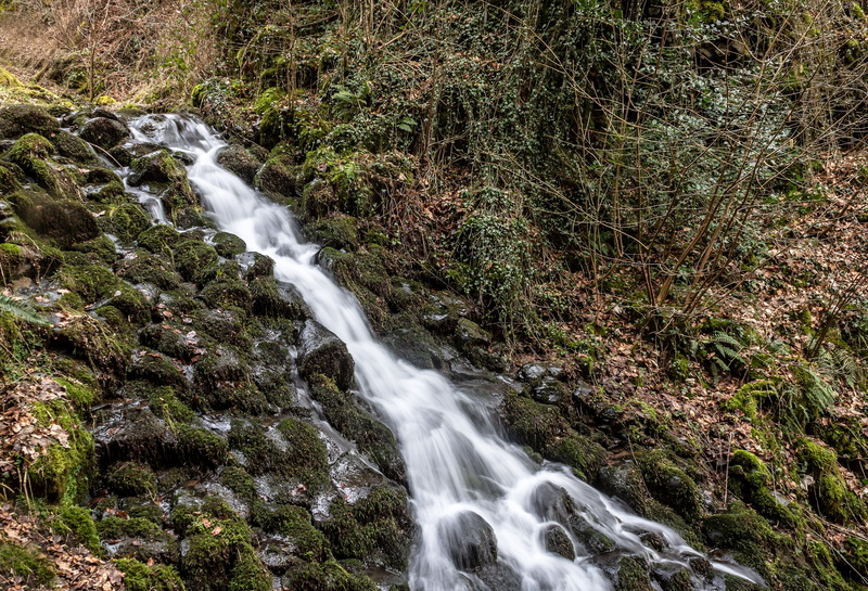 land, blurred motion, plant, forest, vulkaneifel, water, rest, non-urban scene, nature, movement, watercourse, flow, 5K, stones, river üssbach, rock, no people