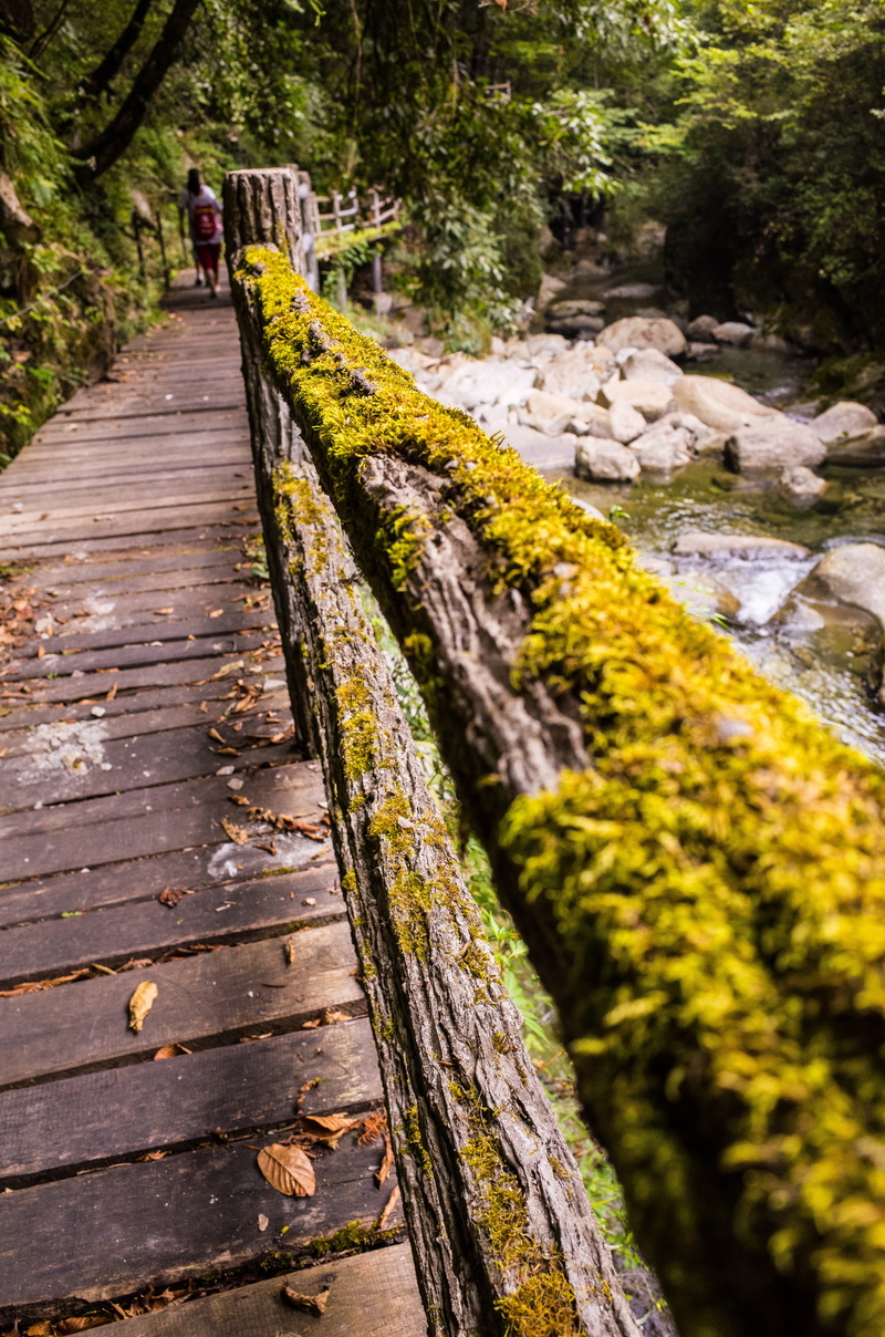 railing, protection, no people, tranquility, on the shore of the stone, tree, waters, river, national park, footbridge, outdoors, wülfershausen, the scenic natural
