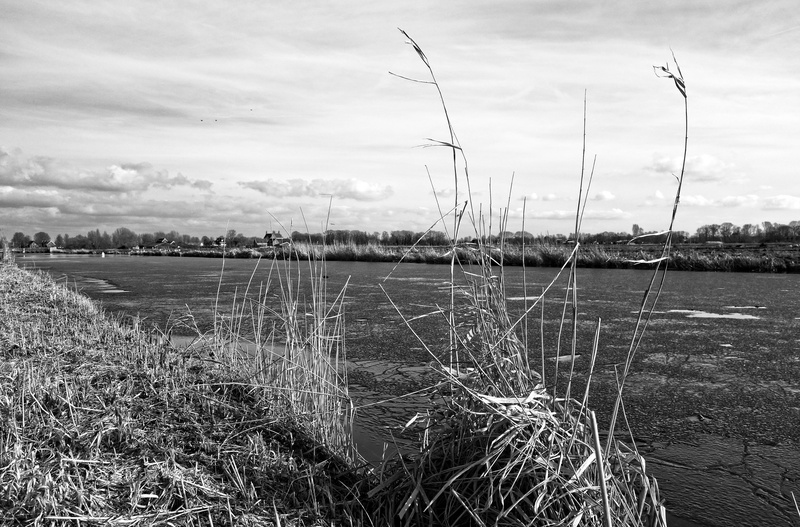 beauty in nature, flat, wetlands vegetation, environment, converging lines, swamp, tranquil scene, vegetation, reed, sky, nature, ice, waterway, tree, cloud - sky