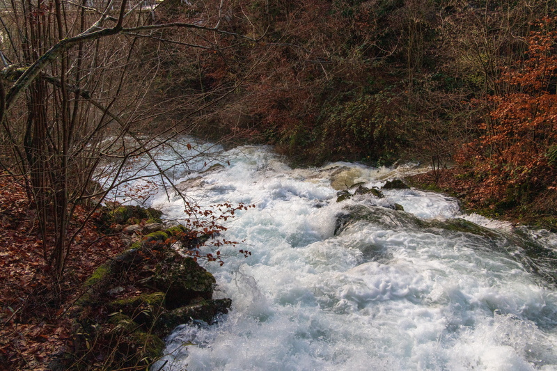 power in nature, no people, day, autumn, river, murmur, torrent, environment, outdoors, stream - flowing water, land, forest, long exposure, motion, flowing