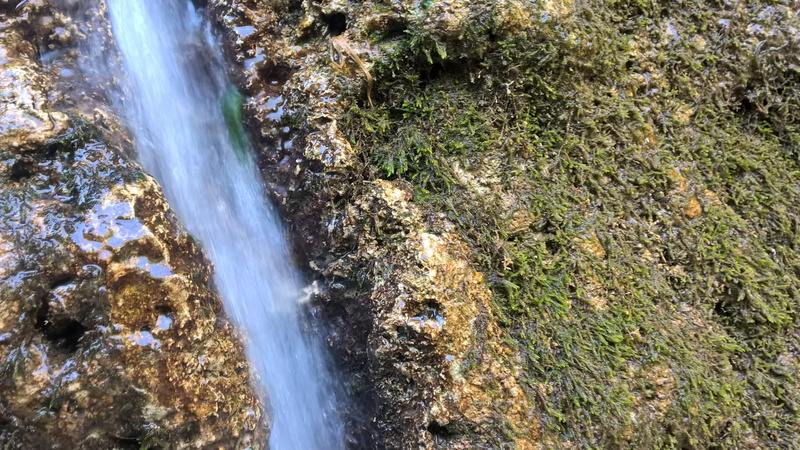 rock, plant, long exposure, tree, nature, falling water, grass, rock - object, power in nature, flowing water, no people, 1080P, watercourse, beauty in nature