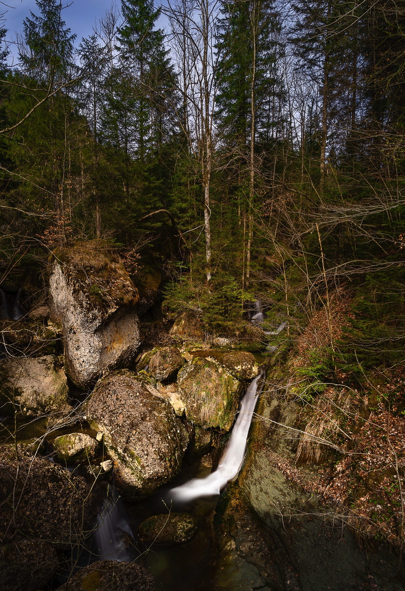 landscape, stream - flowing water, long exposure, waterfall, shadow, downloading, flow, rock, forest, stones, wood, leaf, shadow play, river, tranquility