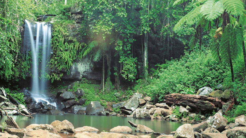 outdoors, 1080P, nature, creek, national park, beauty in nature, growth, water, lake, flowing water, tranquil scene, nature reserve, tree, falling water