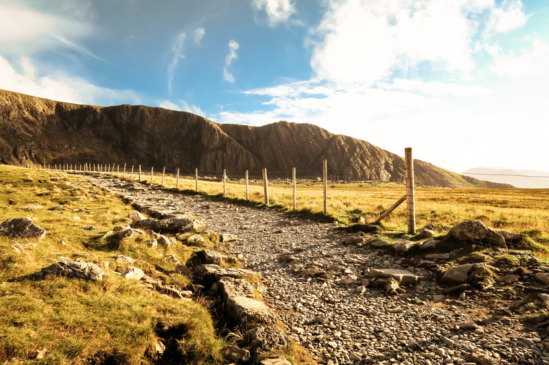 non-urban scene, no people, tranquil scene, hiking, walks, field, wales, beauty in nature, plant, betws-y-coed, united kingdom, tranquility, mountain, sky