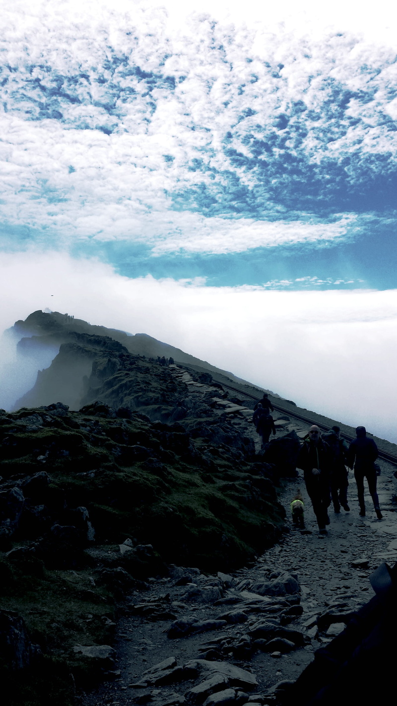 animal, walkinng, mountain top, mountain range, united kingdom, clouds, tranquil scene, snowdonia, outdoors, hiking, land, 2K, water, caernarfon, nature