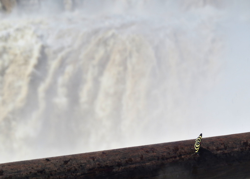 sea, falls, puerto iguazú, day, outdoors, environment, cloud - sky, tranquility, architecture, wall, water, argentina, tranquil scene, iguazu, landscape