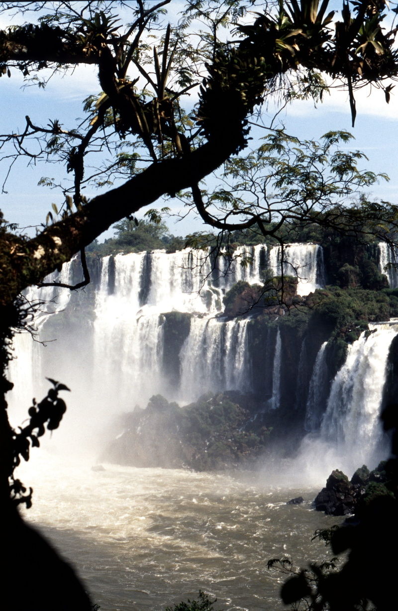 nature, adventure, flowing, iguazu national park, sunlight, spray, day, outdoors, brazil, scenics - nature, power, impressive, 2K, motion, iguazu, tree