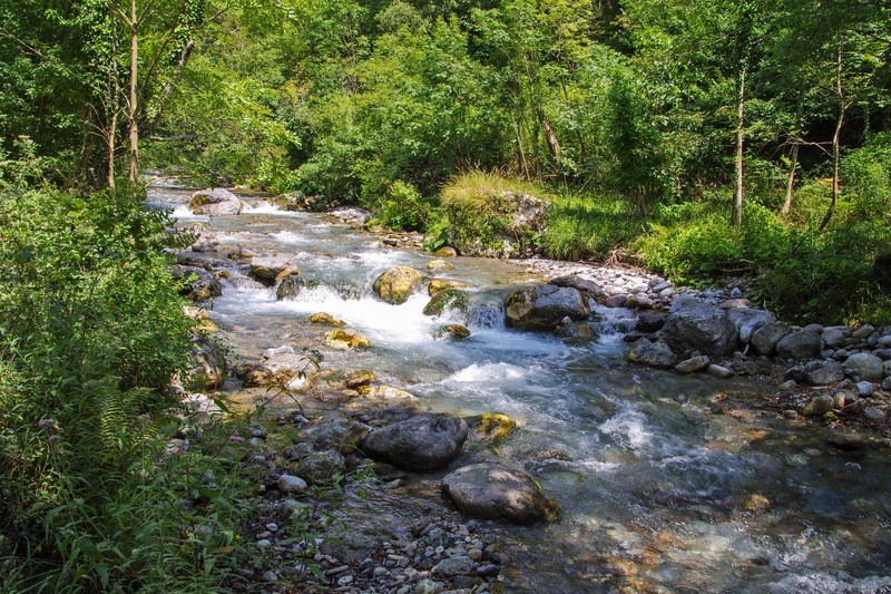 outdoors, plant, into the woods, stream - flowing water, river, flowing, green color, argentine stream, rock, growth, no people, nature, green, calabria