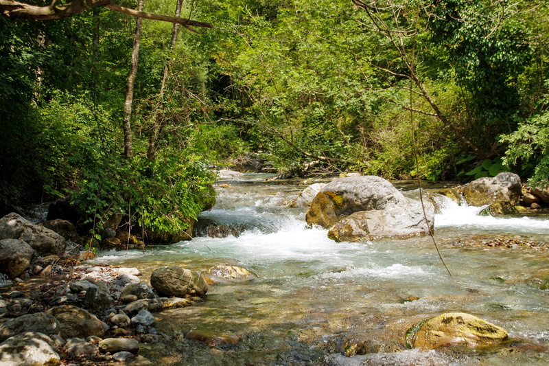 scenics - nature, torrent, tree, motion, into the woods, flowing water, stream - flowing water, outdoors, orsomarso, rock - object, nature, argentine stream