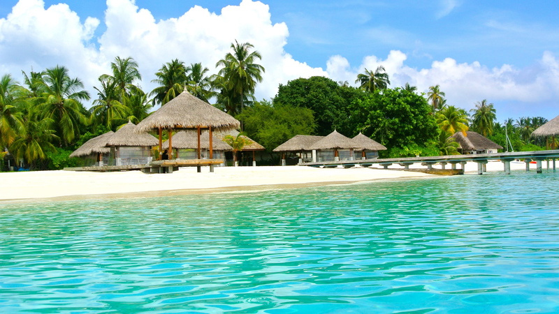 maldives, palm, ultra, paradise, straw, 4K, water, clear, sky, wooden, blue, beaches, bungalows, sand, houses, hd, covered, trees, green