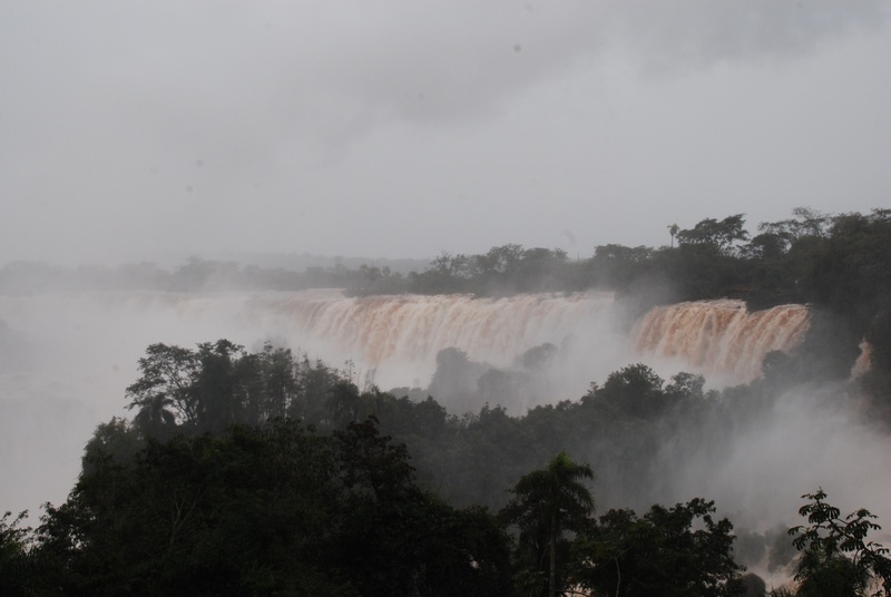 tranquility, iguazu, scenics - nature, tree, flowing, plant, water, falls, beauty in nature, day, motion, natural, murky, river, tranquil scene, nature