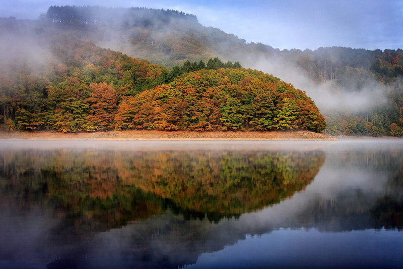 change, fog, beauty in nature, forest, no people, lake, tranquil scene, environment, nature, outdoors, pine tree, landscape, autumn collection, reflection