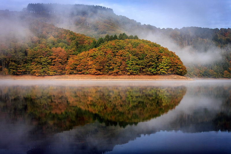change, Luxemburg, Hill, beauty in nature, mist, scenics - nature, clouds, fog, tranquility, Trees, Fall, plant, tree, no people, woodland, water, non-urban scene