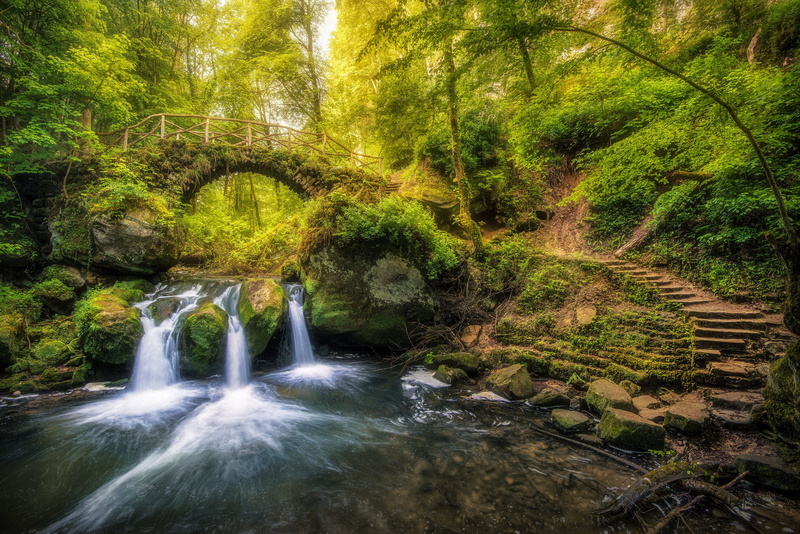 forest, land, river, Luxembourg, Shoot pool, Mullerthal, non-urban scene, waterfall, flowing, motion, green, plant, tree, environment, flowing water, falling water