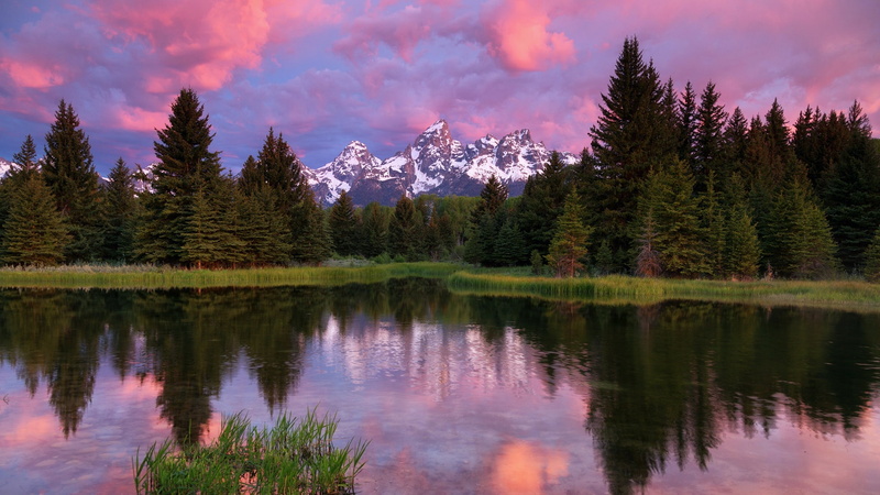 Teton, Forest, 1080P, Water, Reflection, National, Grand, Park, Trees, Mountains, Lake