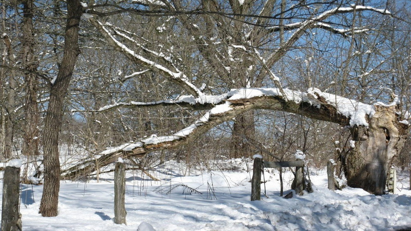 snow, 1080P, jackson river, river, lazy, alleghany county, covington, 3d and abstract, virginia, snowy, natural well