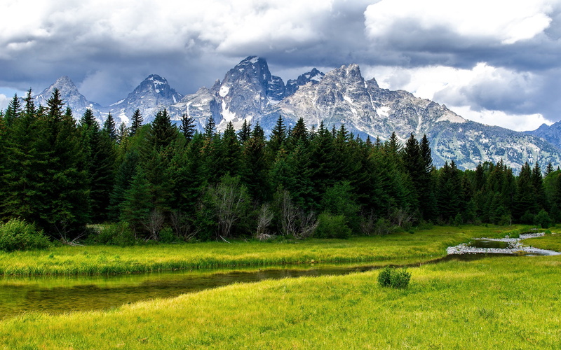 2K, Creek, Trees, grass, Park, Forest, Mountains, Teton, Grand, green, National