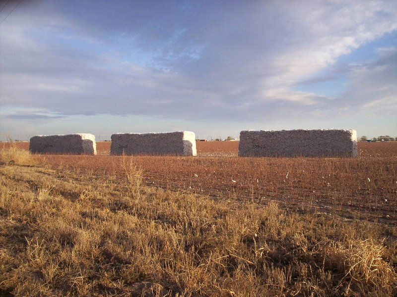 Texas, sky, bale, nature, landscapes, beauty in nature, photos, landscaped, tranquility, landscape, industry, agriculture, crop, no People, 720P, cotton modules