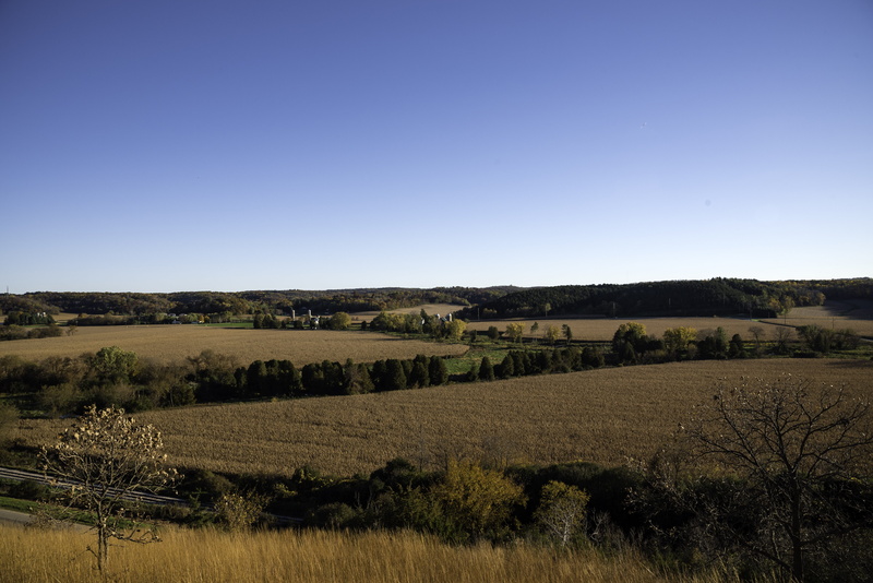 hill, no People, environment, tree, clear sky, farmland, land, United States, animals in the wild, landscape, summer, rural Scene, outdoors, nature, scenics