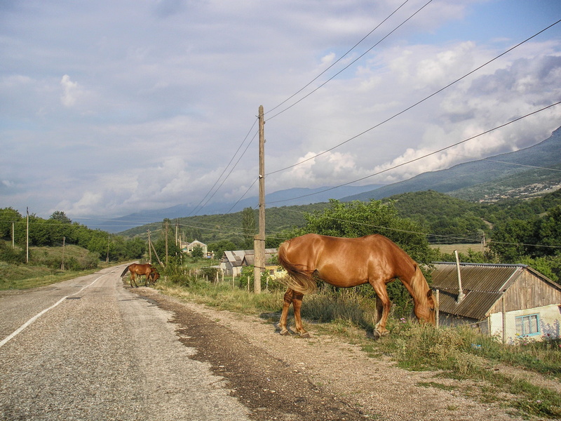 cloud - sky, valley, horse, electricity, nature, domestic, country, eating, herbivorous, summer, 2K, trees, scenic, animal themes, pasture, one animal