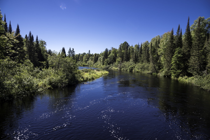idyllic, growth, United States, pine, water, tree, scenics, canada, beauty In Nature, landscape, public domain, color Image, nature, reflection, scenics - nature