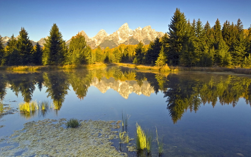 outdoors, waterfront, mountain, scenics - nature, idyllic, sky, beauty in nature, reflection lake, tranquil scene, coniferous tree, water, Grand Teton National Park