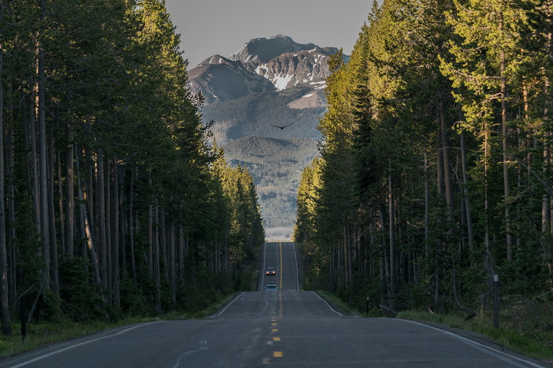 trees, Wyoming, National Park Grand Teton(away), forest, Yellowstone National Park, Grand Teton National Park, Rocky Mountains, road, 1080P, mountains