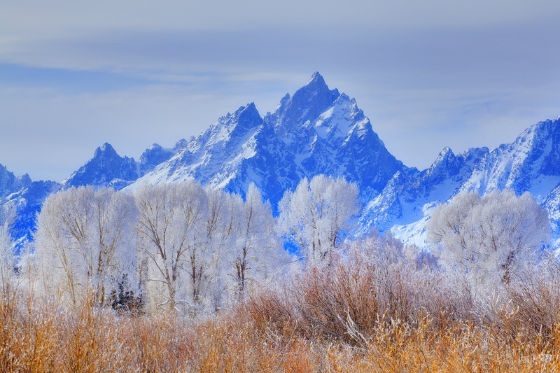 usa, season, day, tree, snowcapped mountain, winter, mountain Peak, meadow, nature, summer, mountain, trees, white, snow, autumn, panoramic, cold temperature