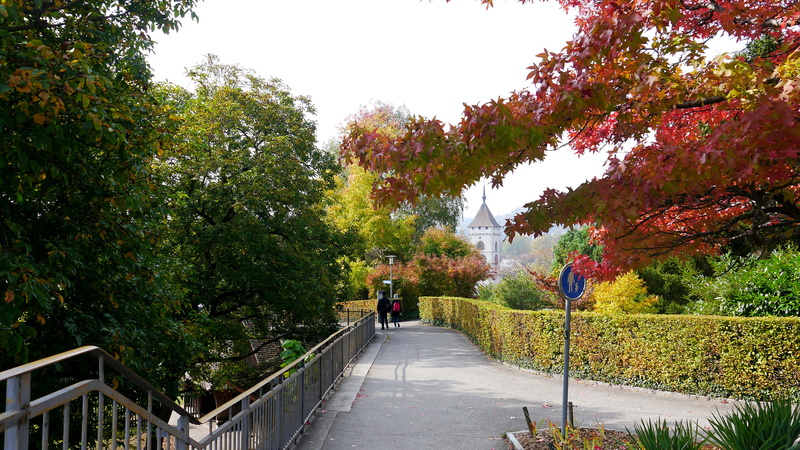 beauty in nature, asphalt, switzerland, campus, walking, sign, people, schaffhausen, real people, day, munot, garden, plant, tree, building, slate, suburb
